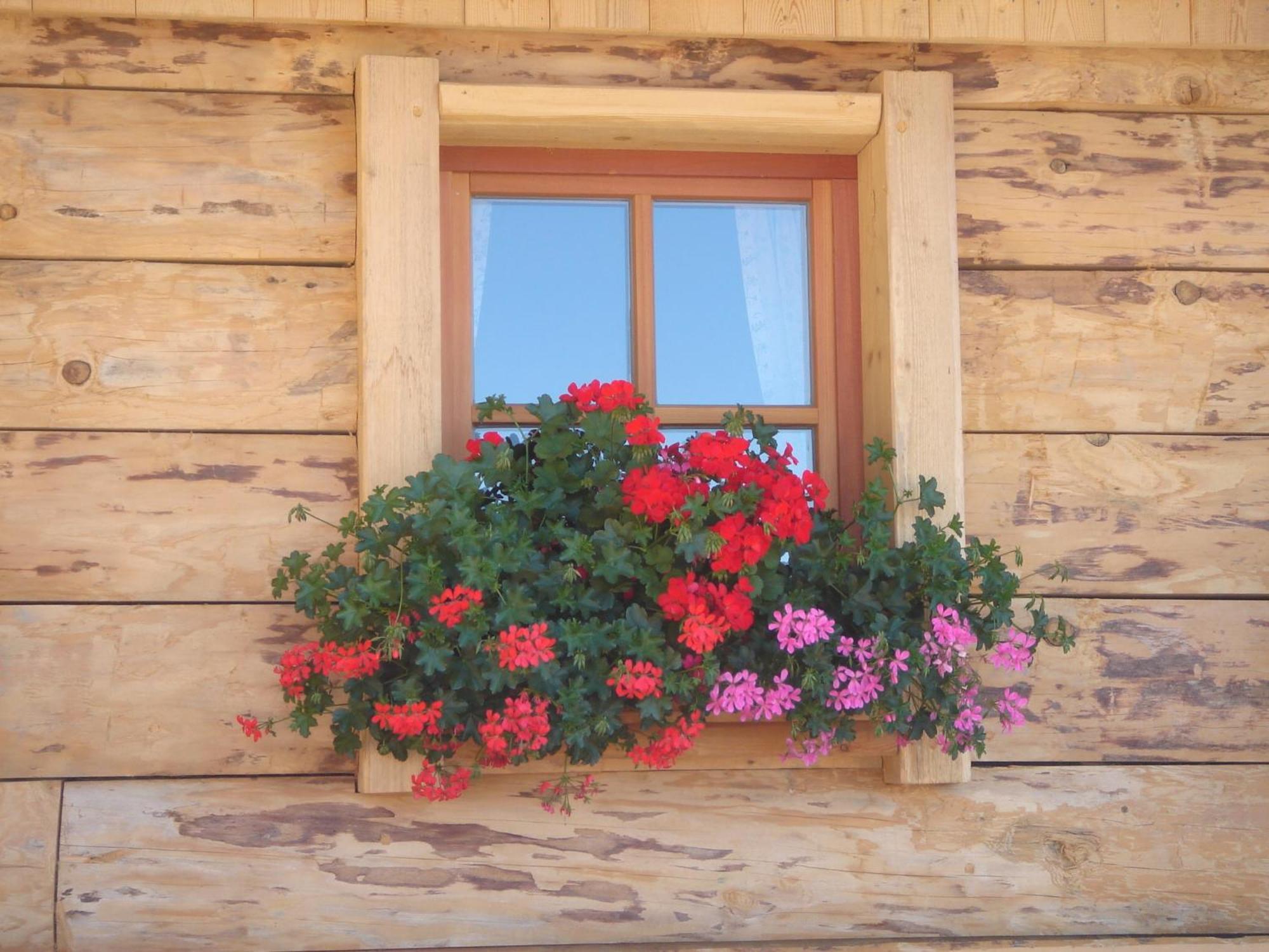 Hotel Haus Sonnleitn St. Johann im Pongau Exterior foto